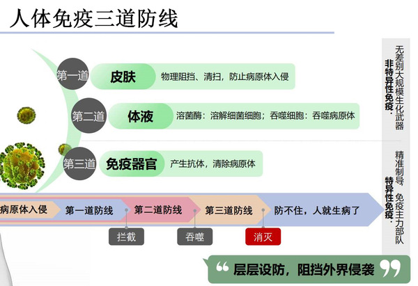 從微觀角度來看免疫系統,自身的免疫系統就像一個軍隊,裡面有空軍